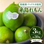 糸島れもんA3kg 30個前後