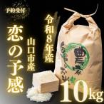 C118 徳佐の米こしひかり2kg×5袋