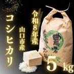 米 コシヒカリ D568 農家直送 新米 精米5kg