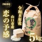 D514 阿東こしひかり 無洗米5kg