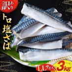 ふるさと納税 気仙沼市 訳あり トロ塩サバ フィレ LLサイズ 3kg ★フィレ1枚230g超え![20565620]