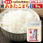 ふるさと納税 男鹿市 新米受付《定期便2ヶ月》【備蓄米 無洗米】 あきたこまち 5kg|23_kml-040502s