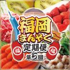 ふるさと納税 宗像市 【全5回】福岡のうまかもんをお届け!福岡まんぞく定期便 【ほたるの里】_HB0192