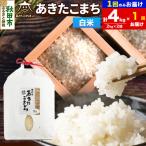新米受付あきたこまち 清流米 4kg