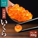 ふるさと納税 函館市 北海道産いくら 100g×3箱_HD117-031