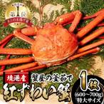ふるさと納税 境港市 蟹屋の釜茹で紅ずわい蟹(特大・1枚)【10月1日から順次発送】