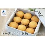 焼き菓子 クッキー レーズンサンド缶 缶入り 9個