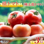 トマト とまと 3キロ