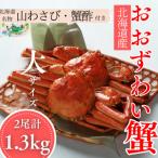 ふるさと納税 紋別市 【北海道産】オオズワイガニ姿　大サイズ2尾計1.3kg | 蟹酢・山わさび付　かに　おおずわいがに