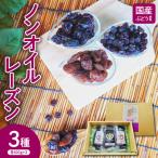 常温乾燥 ノンオイル レーズン 3種