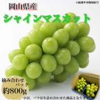 ふるさと納税 瀬戸内市 【平均糖度20度】こだわりのシャインマスカット(計約800g)岡山県産[No.5735-3307]