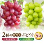 ふるさと納税 東御市 【あおさく農園】2種の種なしぶどうセット(クイーンセブン・シャインマスカット)合計5房セット