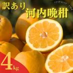 訳あり 河内晩柑 樹齢25年以上 4kg
