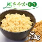 ふるさと納税 東御市 令和7年産新米!長野県オリジナル品種「風さやか」玄米5kg ※2025年10月上旬以降順次発送