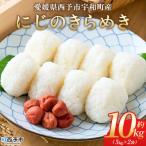 ふるさと納税 西予市 <にじのきらめき 約10kg> 選べる10キロ ニジノキラメキ 米 お米 コメ こ