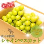 ショッピングふるさと納税 シャインマスカット ふるさと納税 三条市 先行受付 シャインマスカット ご自宅用 2房 令和8年度 渡辺果樹園【014S151】