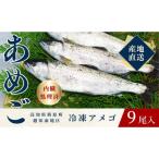四万十川源流域の清流で育ったゆすはらアメゴ 9匹入り
