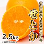 ショッピングせとか ふるさと納税 三原市 【先行受付】果汁たっぷり甘さに満足 柑橘の大トロせとか 2.5kg [017-020]