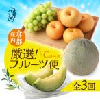 ショッピングふるさと納税 梨 ふるさと納税 庄内町 【R8.8月中旬より発送開始】食の都庄内 厳選フルーツ便C(入金期限:2026.7.31)