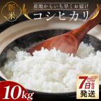 コシヒカリ 10kg