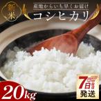 新米コシヒカリ 20kg