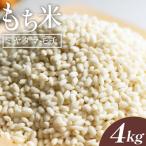 米 新米 令和8年産 もち米 ミヤタマモチ 4kg