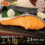 ふるさと納税 倉吉市 【真空冷凍】 関金サーモン ふり塩切り身 1440g(60g×24切れ) 鮭 さけ シャケ