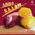 八代目のなると金時