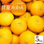 健やかジューシー 夏の味 糸島産甘夏みかんM~L玉 約5kg
