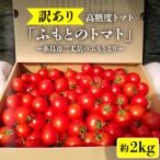糸島二丈岳 約2kg