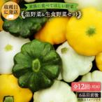 糸島産朝採れ 温野菜&生食野菜セット オーガニックナガミツ…