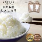 自然栽培 ヒノヒカリ 10kg
