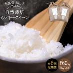 糸島産 ミルキークイーン 10kg