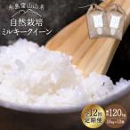 糸島産 ミルキークイーン10kg 自然栽培