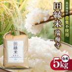田縁米 でんえんまい 瑞梅寺 ずいばいじ 白米5kg