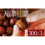 ふるさと納税 碧南市 【旬限定の定期便】【新栗】( 先行予約 ) 甘みたっぷりの「天津甘栗」300g! H045-070