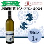 壮瞥産 ピノ ブラン2024 辛口白ワイン 750ml