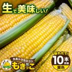 糸島産 トウモロコシ もきっこ 黄 10本前後