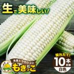 糸島産 トウモロコシ もきっこ 白 10本前後