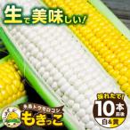 糸島産 トウモロコシ もきっこ 白黄ミックス 10本前後