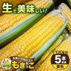 糸島産 トウモロコシ もきっこ 黄 5本前後