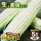 糸島産 トウモロコシ もきっこ 白 5本前後