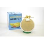 ショッピングふるさと納税 メロン ふるさと納税 焼津市 静岡マスクメロン【1玉】(白)(a10-342)