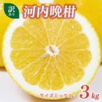 お試し用 訳あり 河内晩柑 3kg
