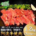 牛肉 阿波牛 焼肉用ミックス ロース カルビ