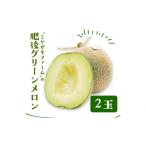 ミヤザキファーム 肥後グリーンメロン2玉