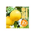 山本果樹園の晩白柚 2玉