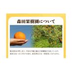 森田果樹園の晩白柚 2玉