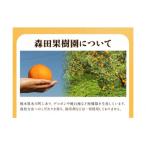 森田果樹園の不知火 3kg