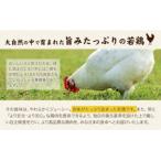 若鶏もも肉 約2kg×2袋